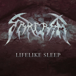 Sarcasm (SWE) : Lifelike Sleep